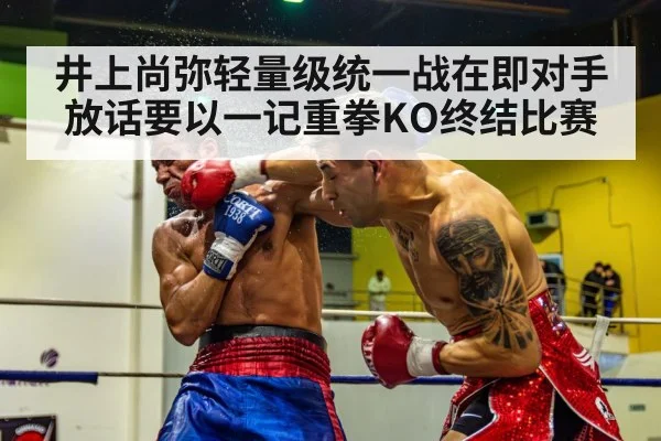 boxer knockout punch